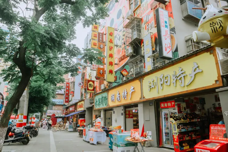 医疗管理咨询服务如何助力成都医院提升运营效率与服务质量