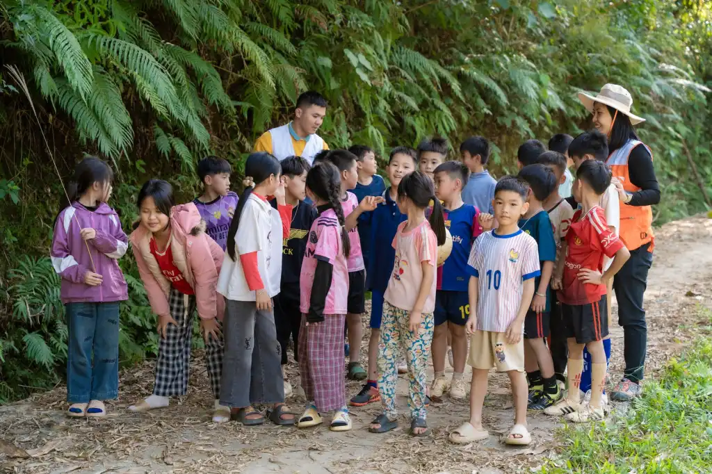 成都医疗管理咨询服务的核心价值与落地路径解析