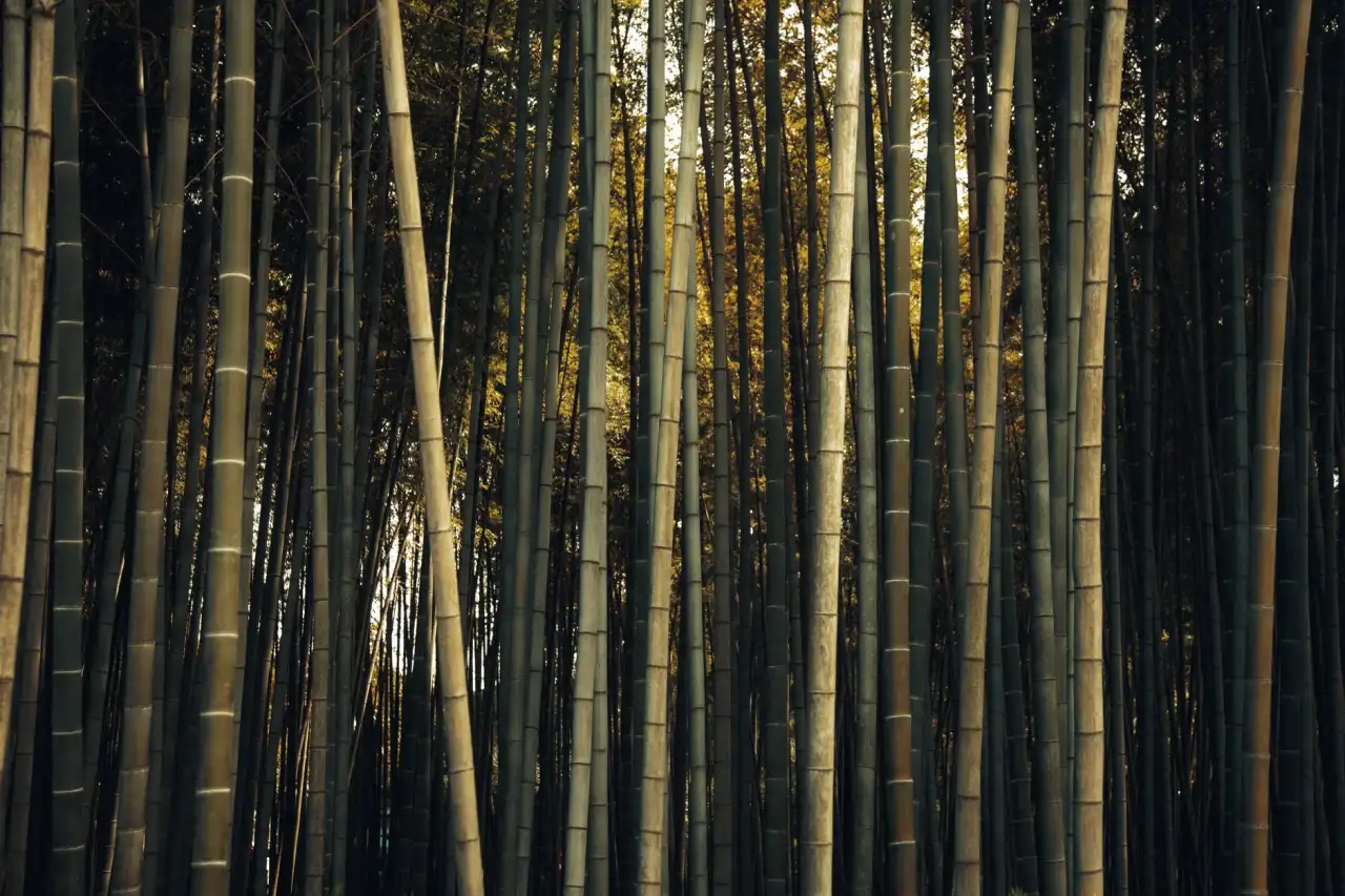成都医疗机构运营管理痛点分析与KB韩美定制化解决方案